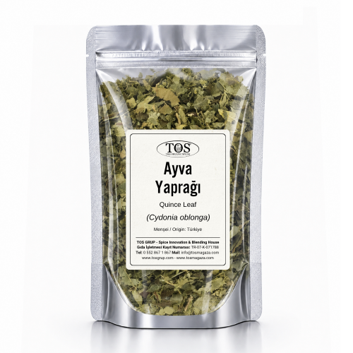 Ayva Yaprağı