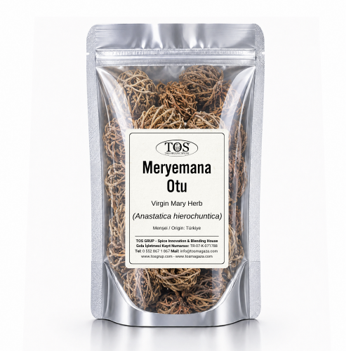 Meryemana Otu