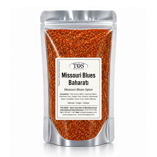 Reagan'ın Missouri Blues Baharatı